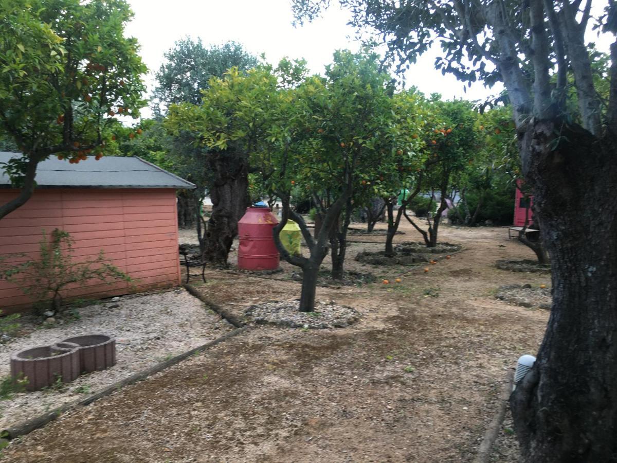 Quinta Do Lagar De Sao Jose Guest House Paialvo Exterior photo