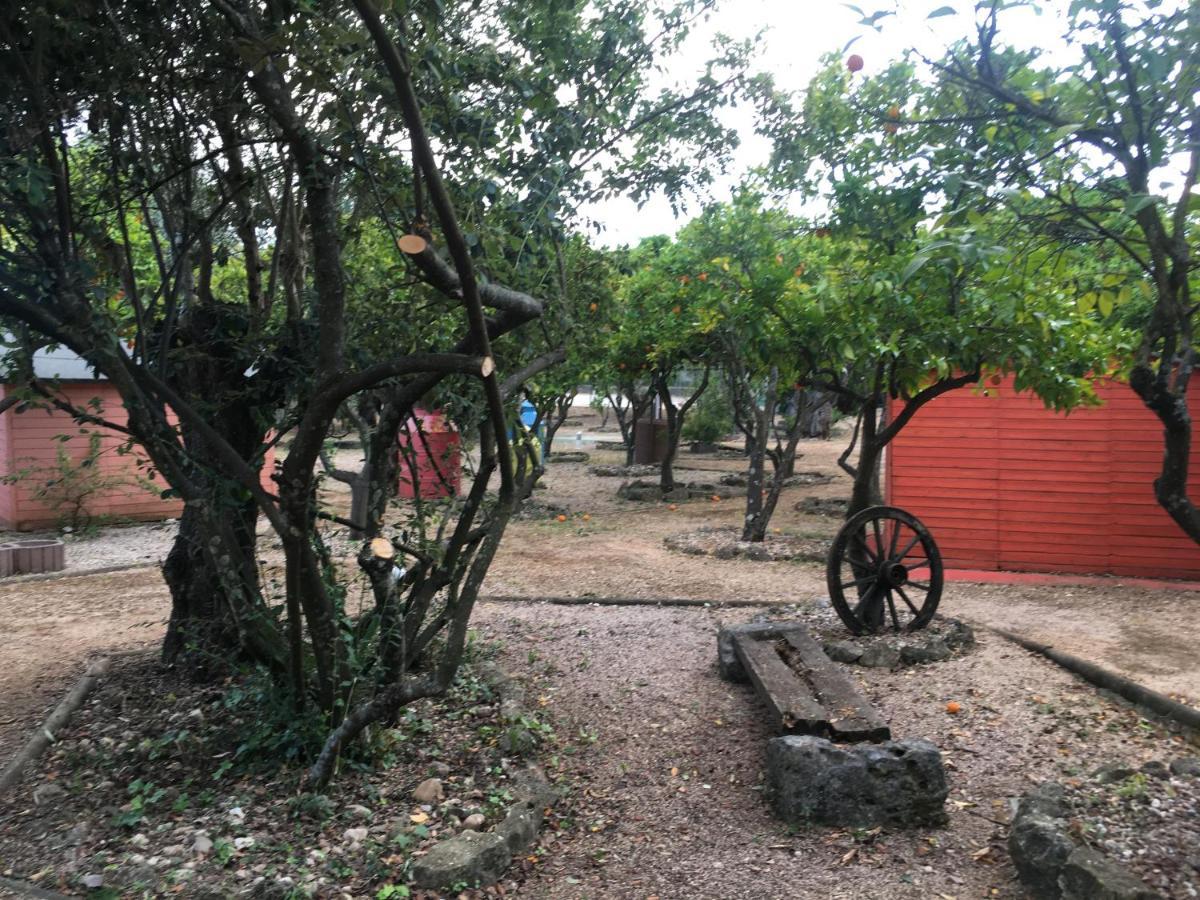 Quinta Do Lagar De Sao Jose Guest House Paialvo Exterior photo